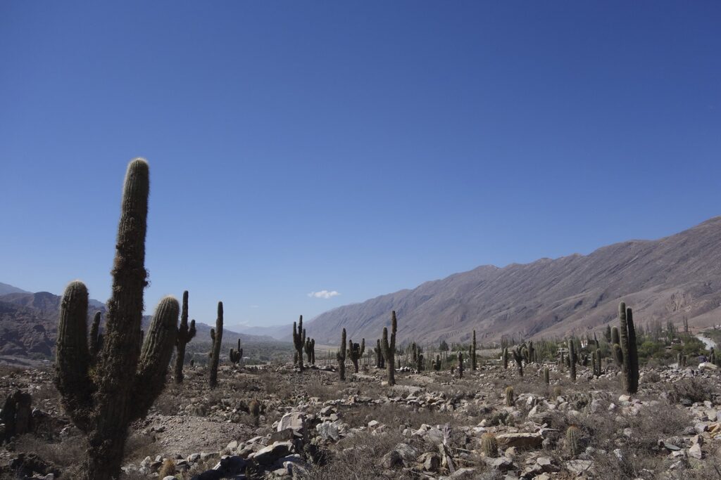 background galería jujuy lights argentine delights-min