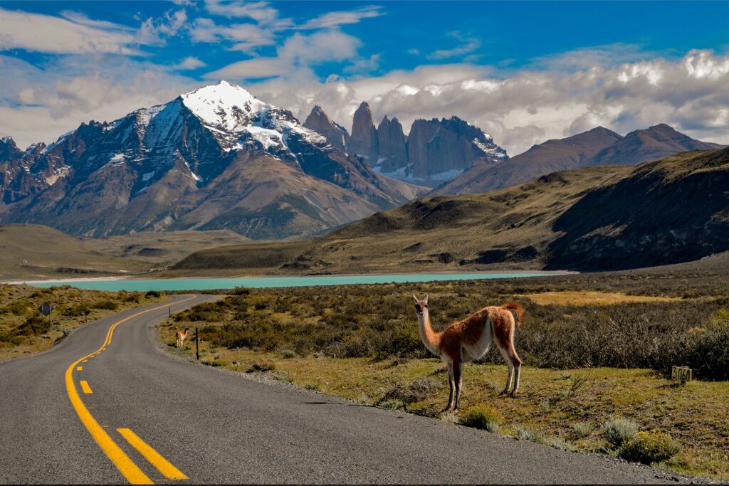 portada 07 inicio luz bis background argentine delights-min